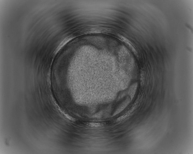 X0000091210794200709061438