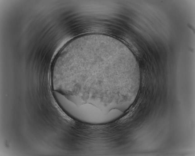 X0000091210796200709061438