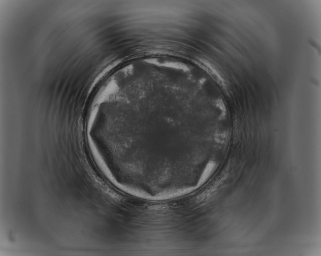 X0000091210798200709061438