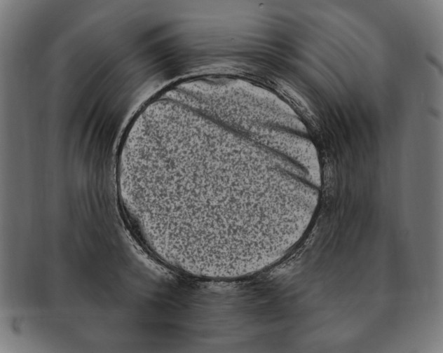 X0000091210800200709061438