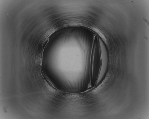 X0000091210801200709061438