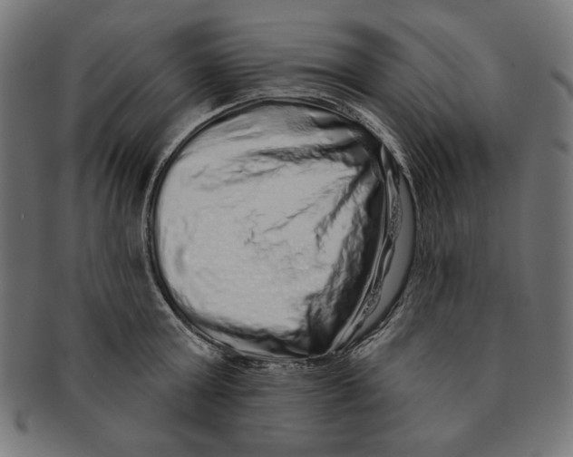 X0000091210803200709061438