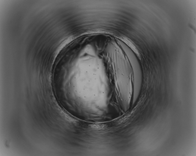 X0000091210805200709061438