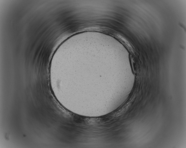 X0000091210808200709061438