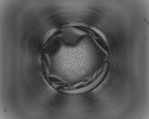 X0000091210809200709061438