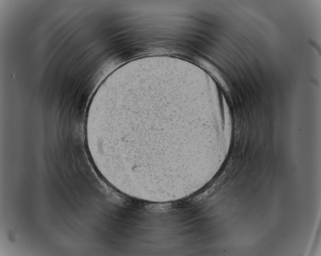 X0000091210810200709061438