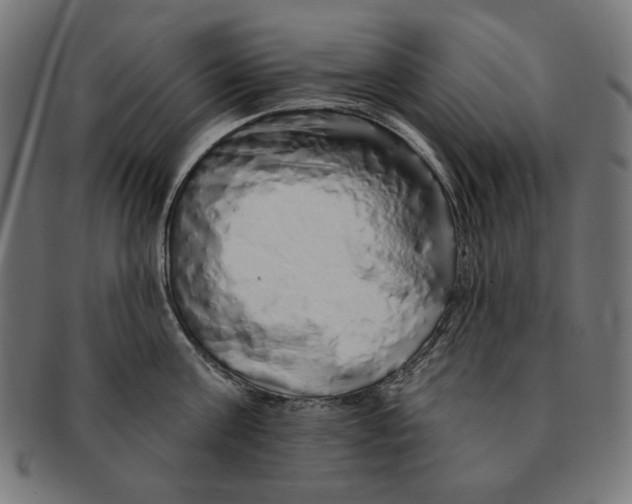 X0000091210811200709061438