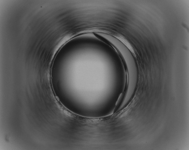 X0000091210813200709061438