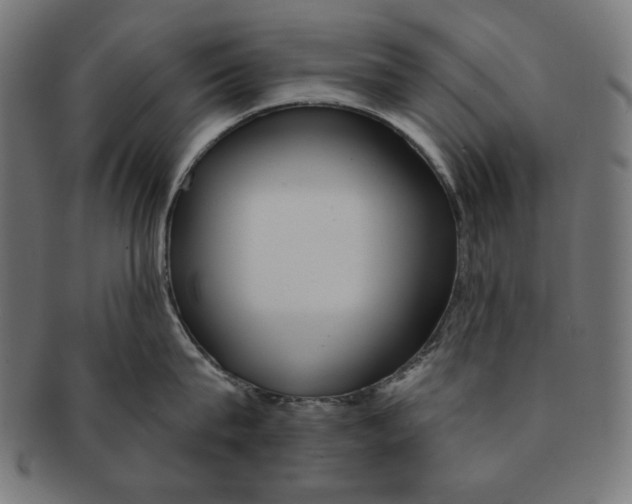 X0000091210815200709061438