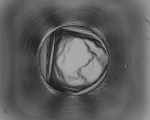 X0000091210816200709061438