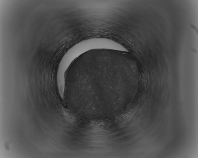 X0000091210818200709061438