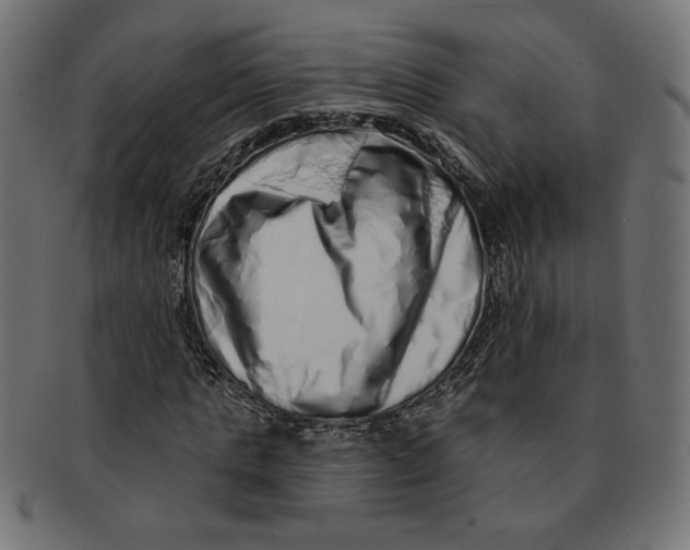 X0000091210821200709061438