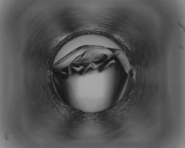 X0000091210822200709061438