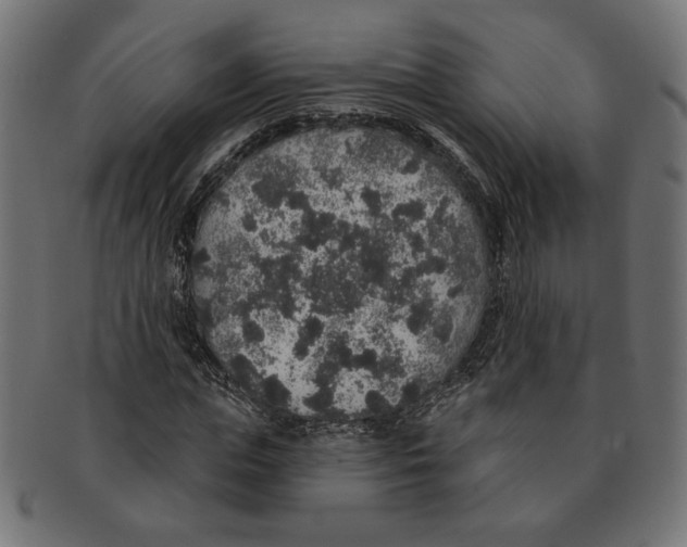 X0000091210823200709061438