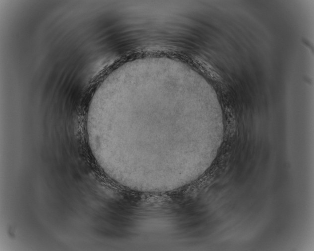 X0000091210824200709061438