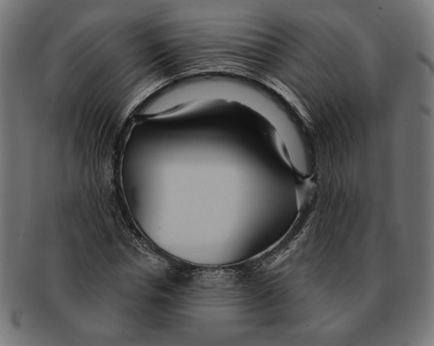 X0000091210826200709061438