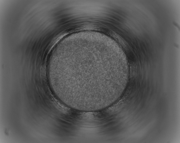 X0000091210828200709061438