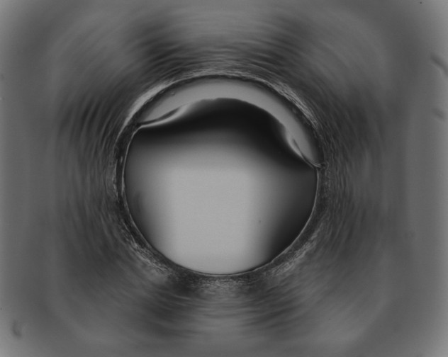 X0000091210830200709061438