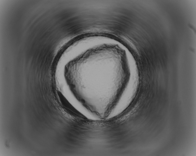 X0000091210831200709061438