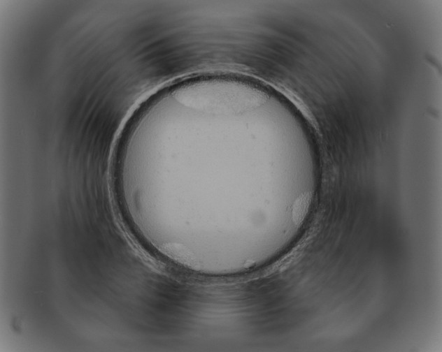 X0000091210832200709061438