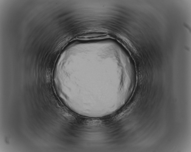 X0000091210833200709061438