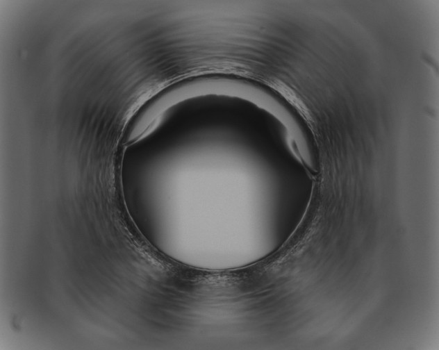 X0000091210834200709061438