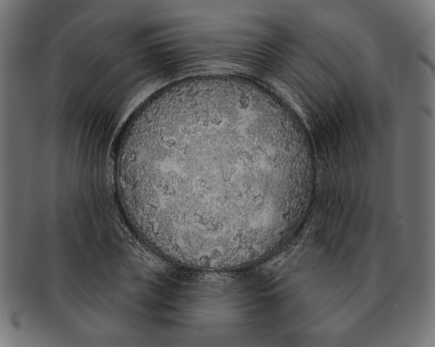 X0000091210835200709061438