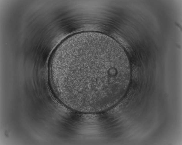 X0000091210836200709061438