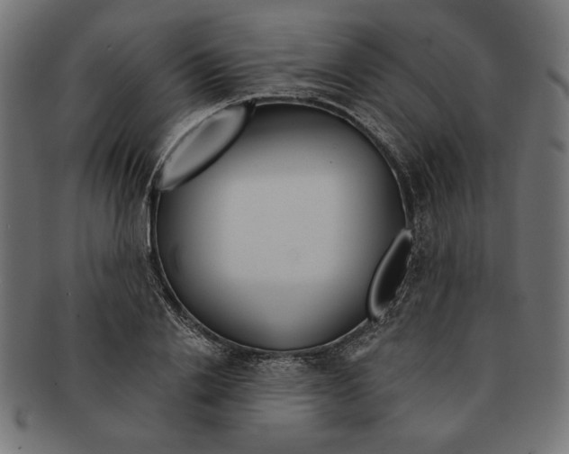 X0000091210838200709061438