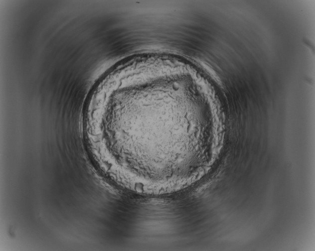 X0000091210839200709061438