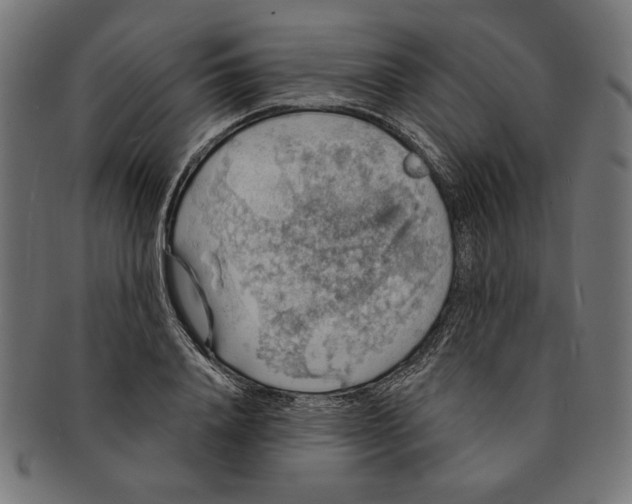 X0000091210840200709061438