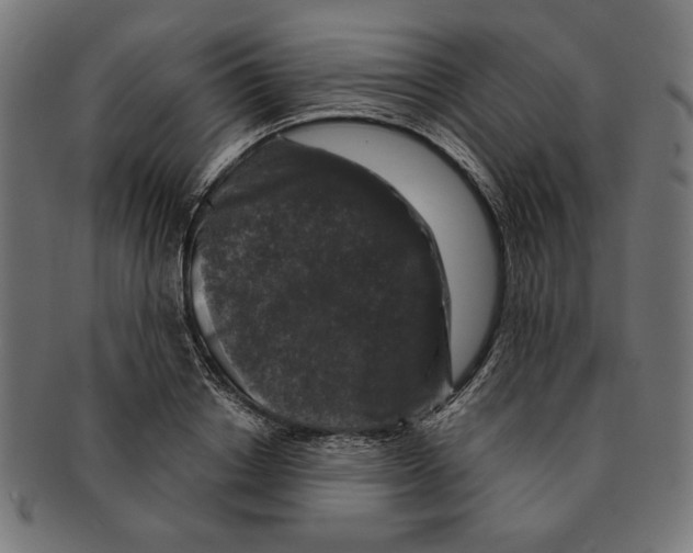 X0000091210842200709061438