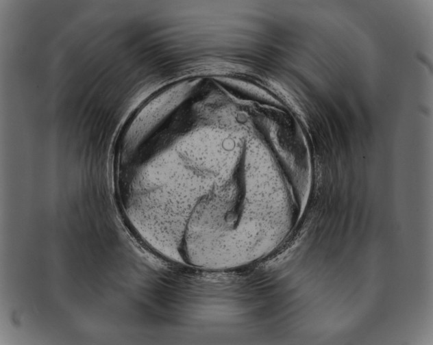 X0000091210843200709061438