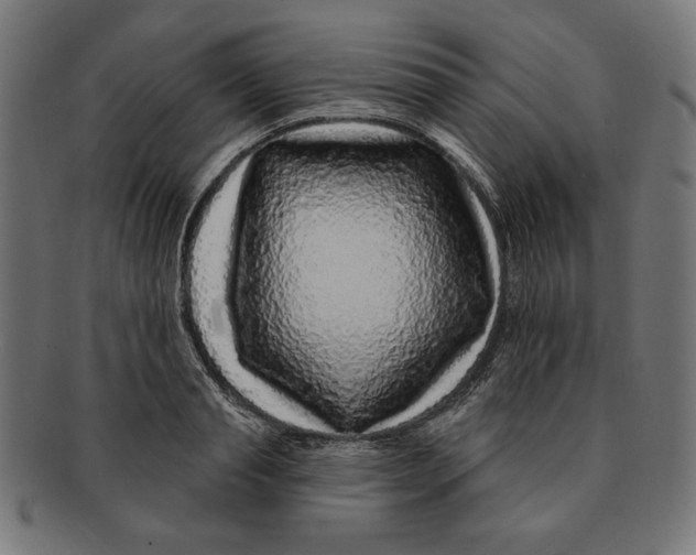 X0000091210845200709061438