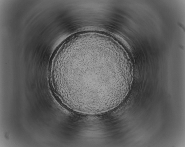 X0000091210847200709061438