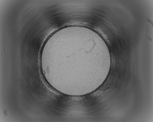 X0000091210848200709061438