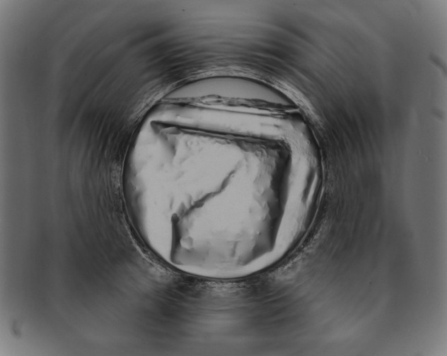 X0000091210849200709061438