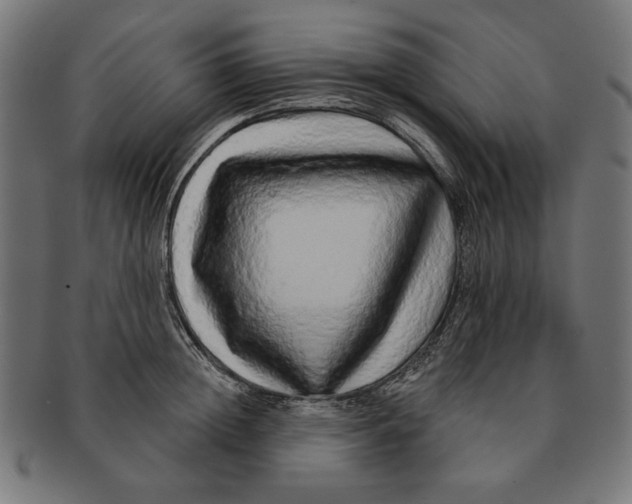 X0000091210852200709061438