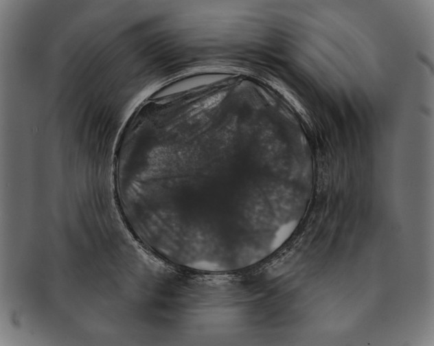 X0000091210853200709061438