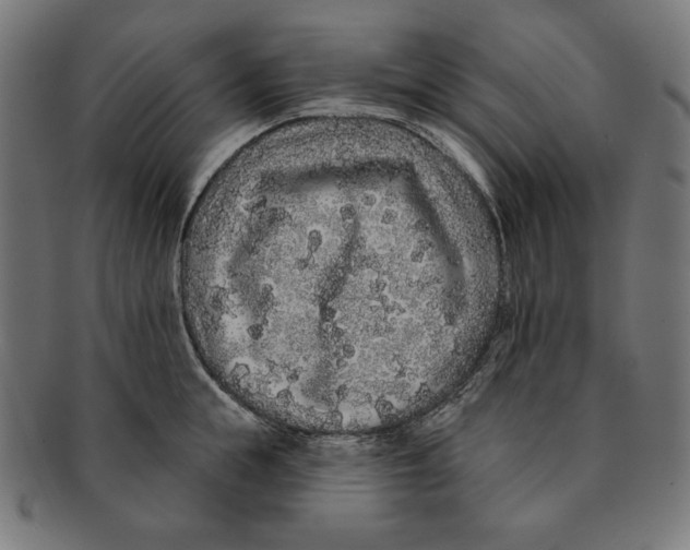 X0000091210855200709061438