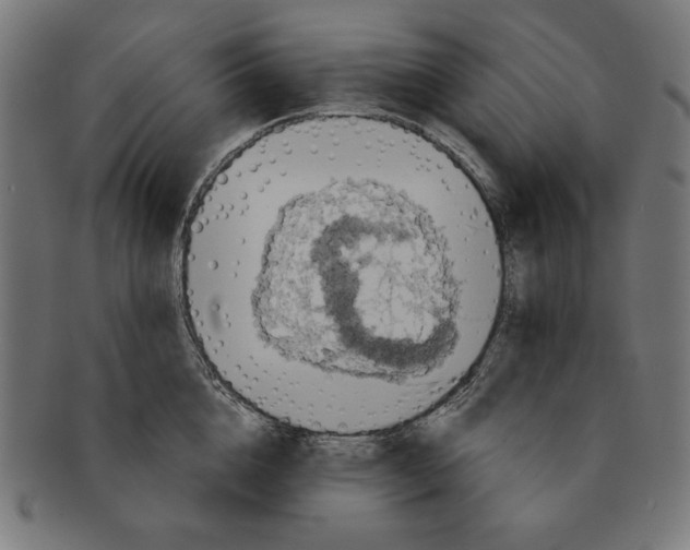 X0000091210856200709061438