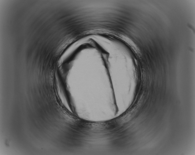 X0000091210857200709061438