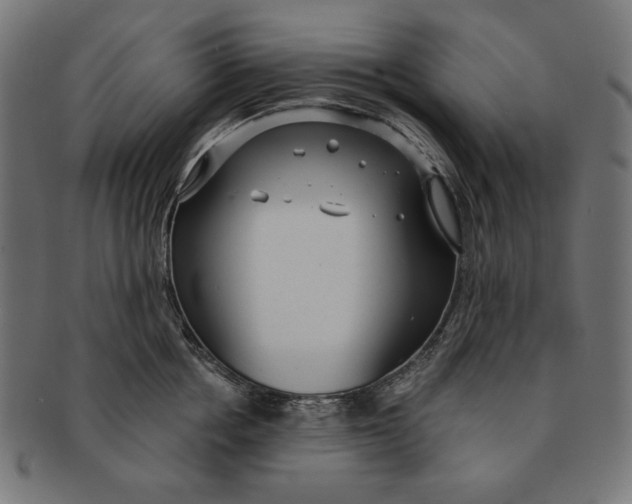 X0000091210858200709061438