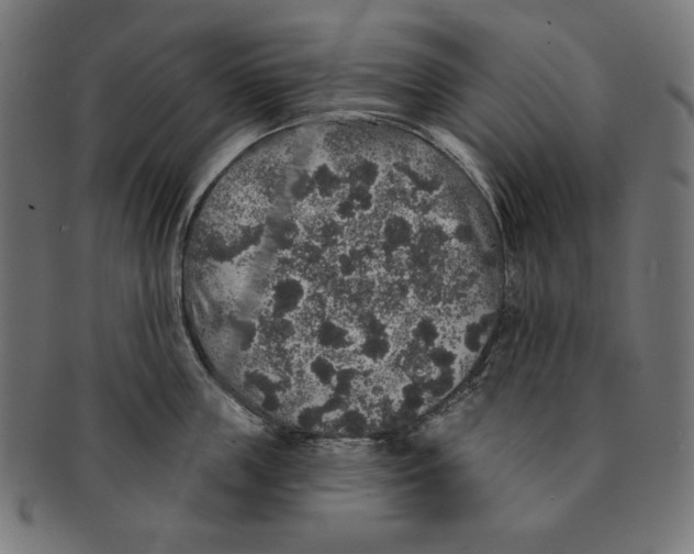 X0000091210859200709061438