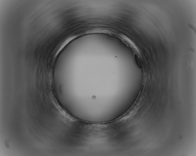 X0000091210860200709061438