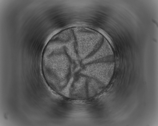 X0000091210861200709061438