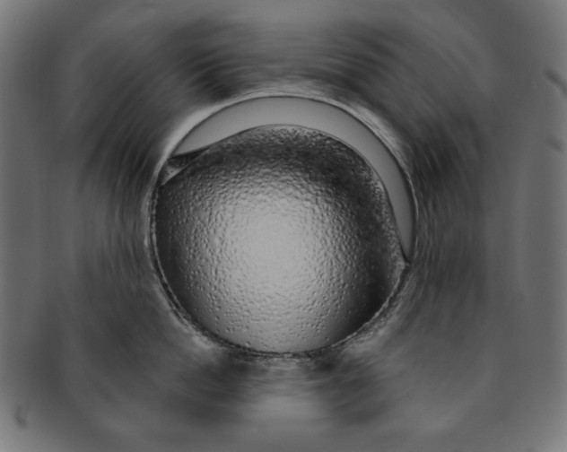 X0000091210862200709061438