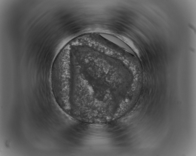 X0000091210863200709061438