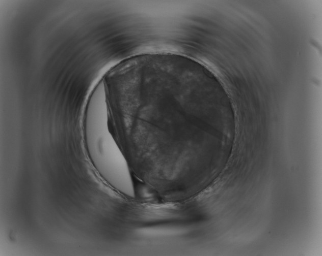 X0000091210864200709061438