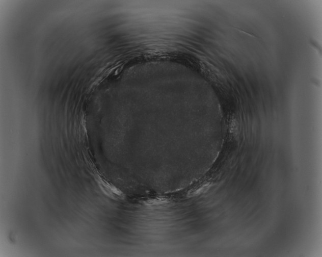 X0000091210868200709061438